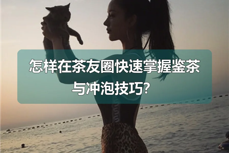 怎样在茶友圈快速掌握鉴茶与冲泡技巧?